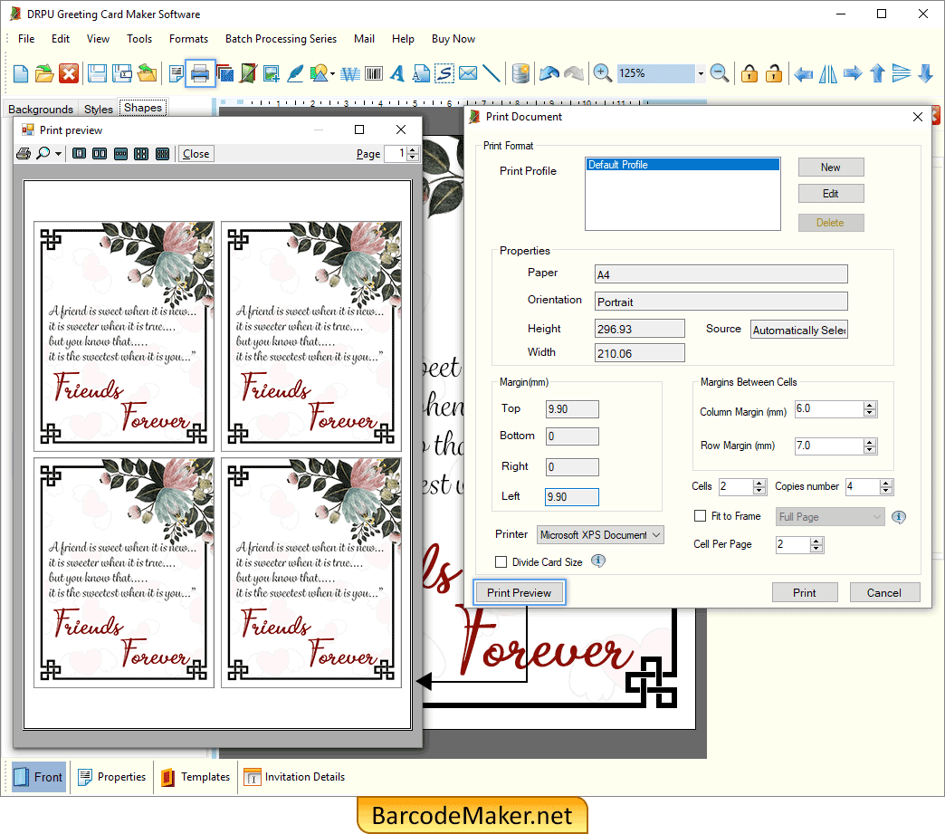 Print Preview Print Preview